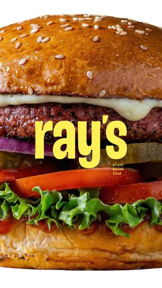 rays rays_04